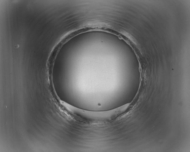 X0000073711022200608241437