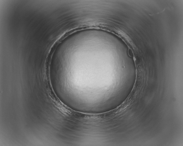 X0000073711023200608241437