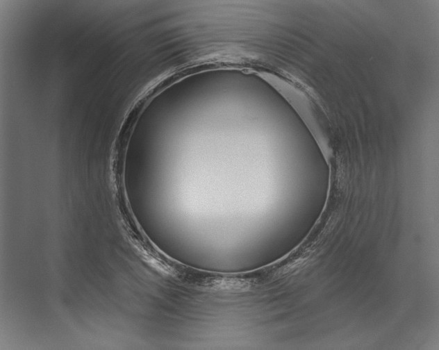 X0000073711026200608241437