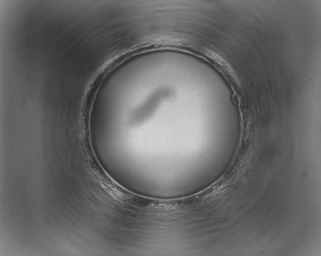 X0000073711027200608241437