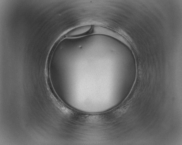 X0000073711028200608241437