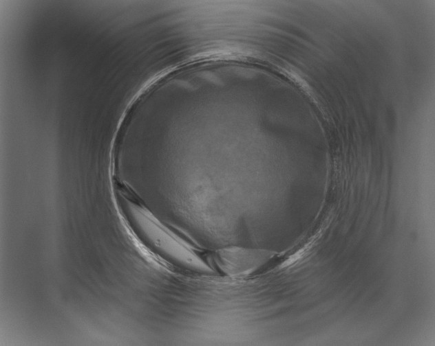 X0000073711034200608241438