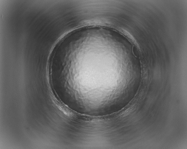 X0000073711035200608241438