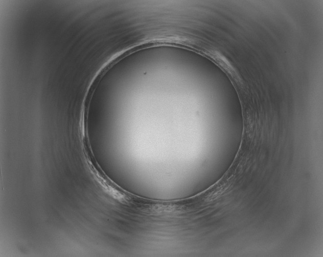 X0000073711036200608241438