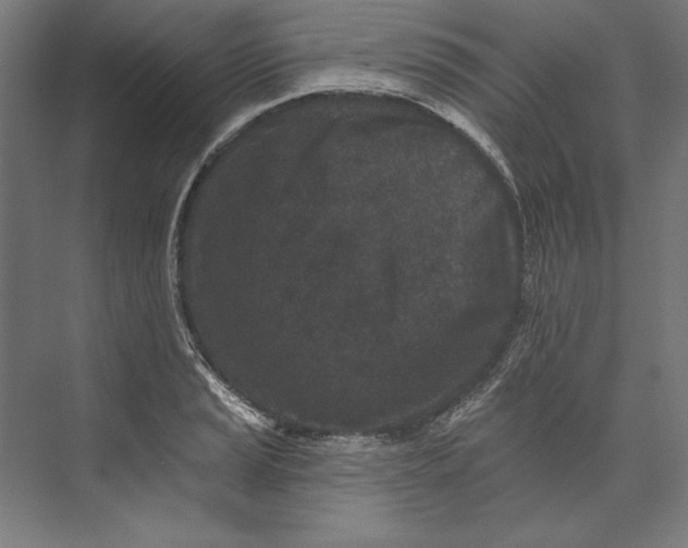 X0000073711037200608241438