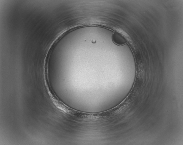 X0000073711039200608241438