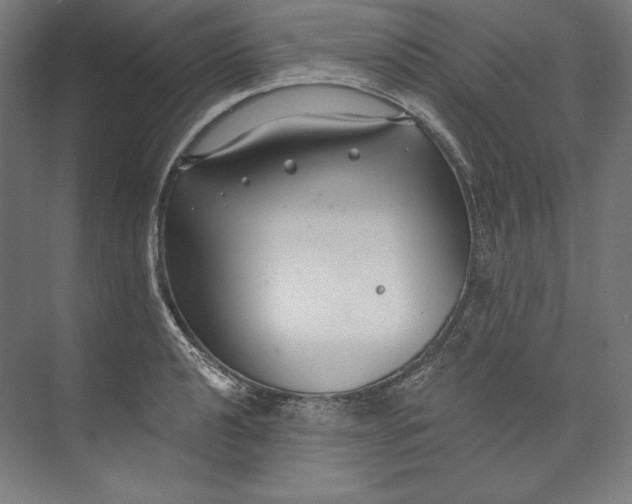 X0000073711040200608241438