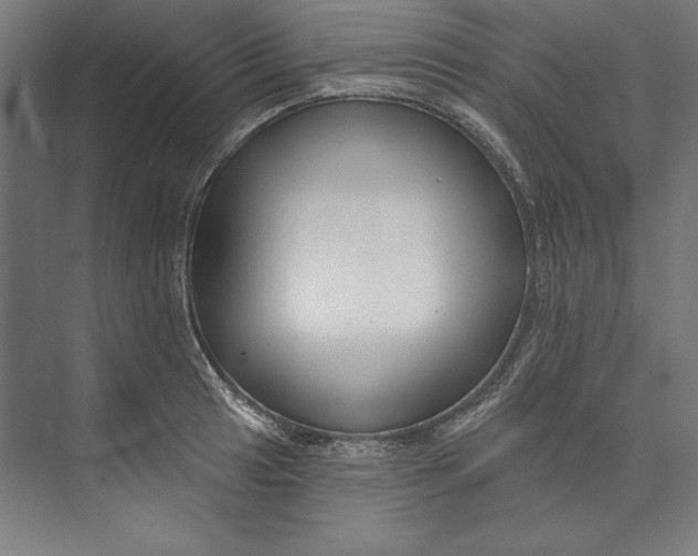 X0000073711041200608241438