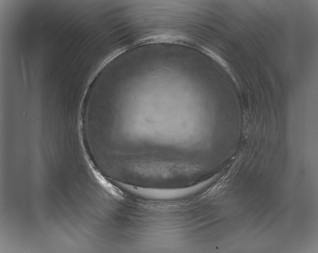 X0000073711042200608241438