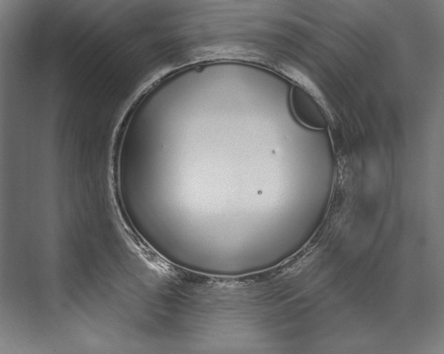 X0000073711043200608241438