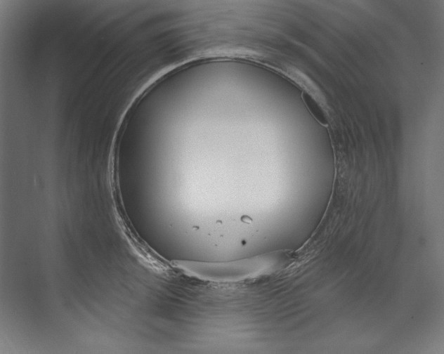 X0000073711044200608241438