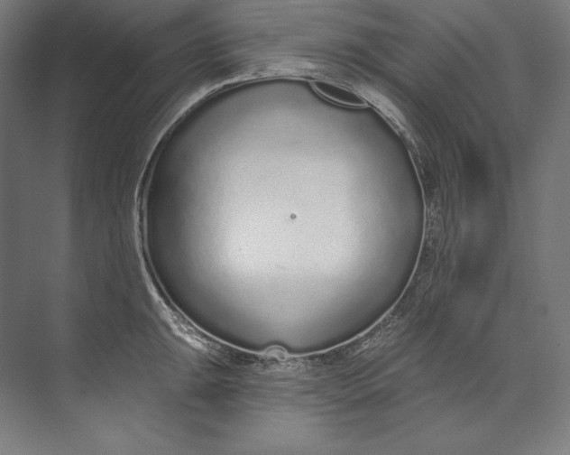 X0000073711047200608241438