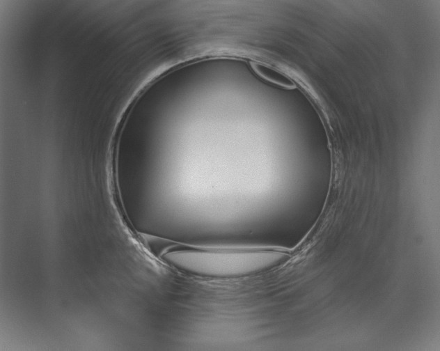 X0000073711048200608241438