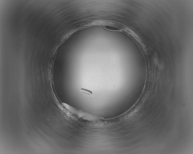 X0000073711049200608241438