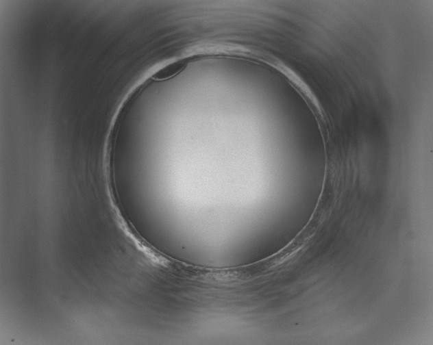 X0000073711053200608241438