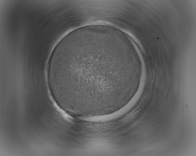 X0000073711054200608241438