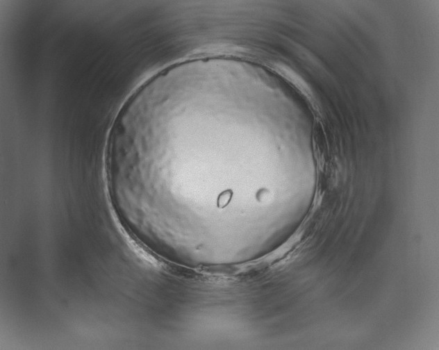 X0000073711055200608241438