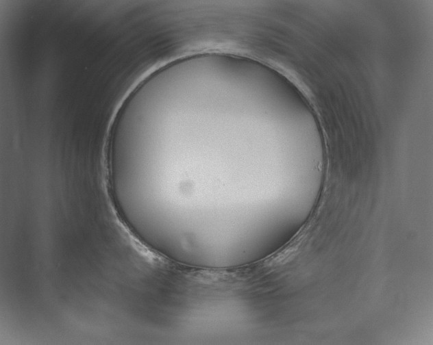 X0000073711056200608241438