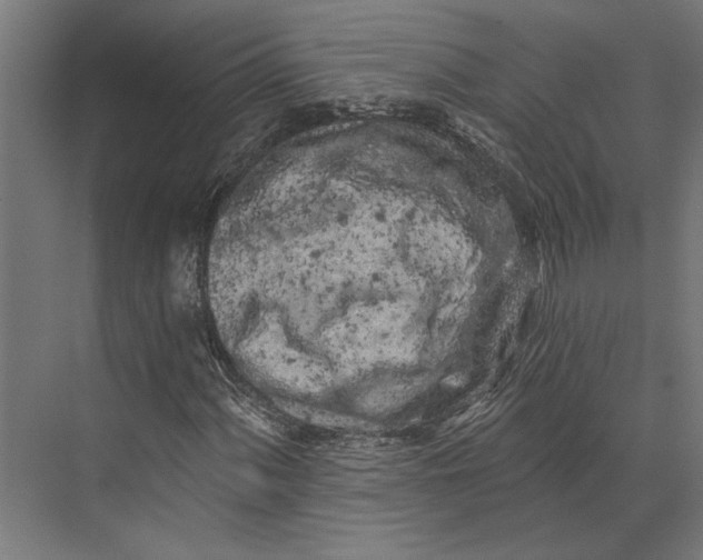 X0000073711060200608241437