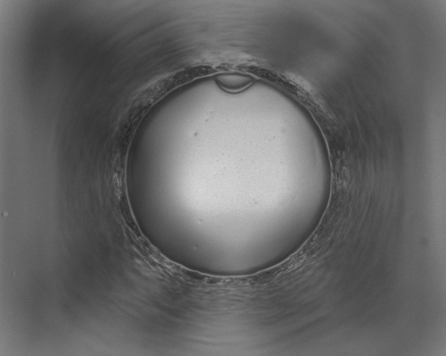 X0000073711063200608241437