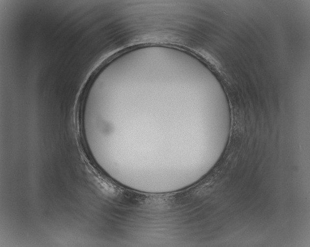 X0000073711078200608241437