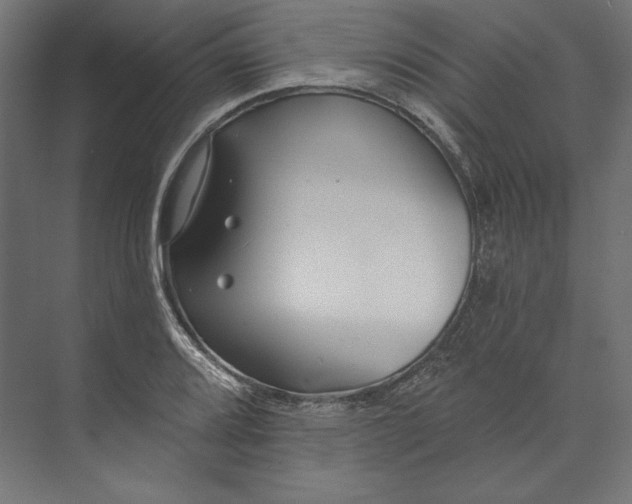 X0000073711080200608241437