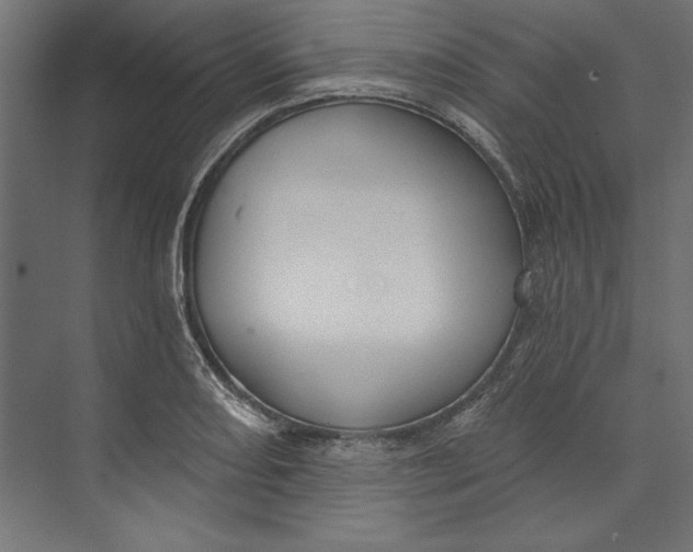 X0000073711082200608241437