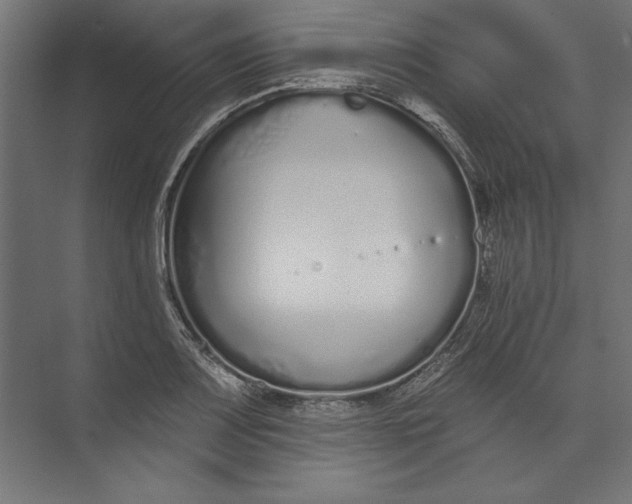 X0000073711083200608241437