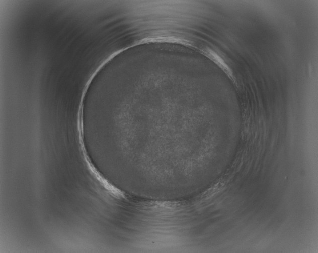 X0000073711084200608241437