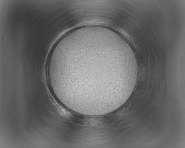 X0000073711086200608241437