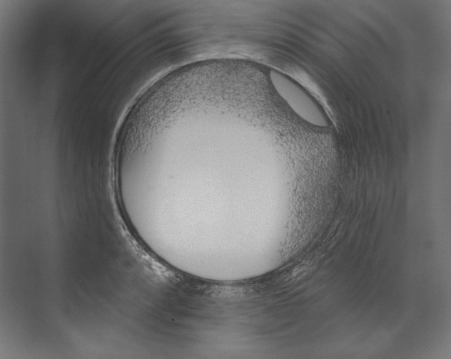 X0000073711088200608241437