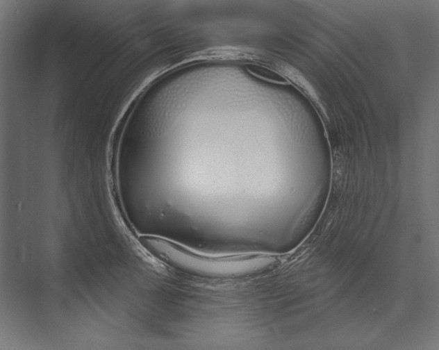 X0000073711091200608241437