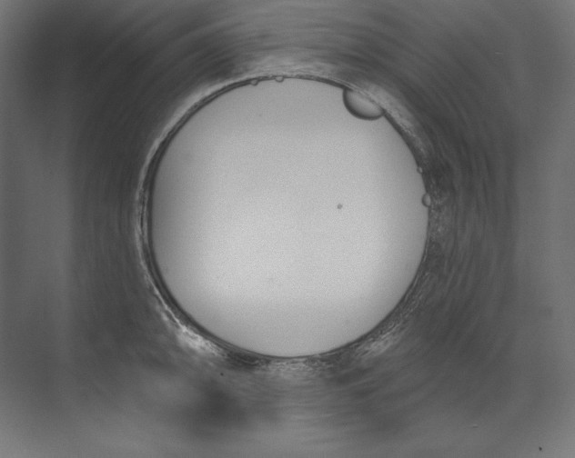 X0000073711094200608241437