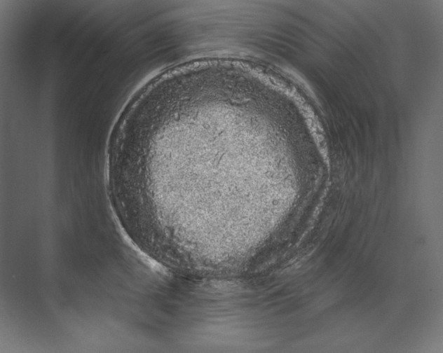 X0000073711095200608241437