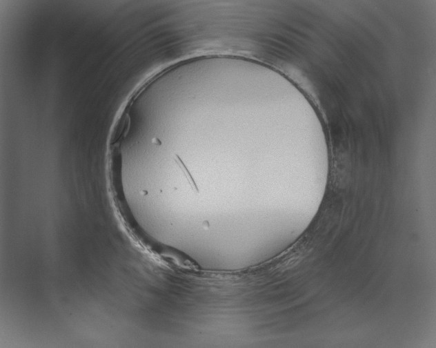 X0000073711096200608241436