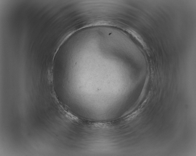 X0000073711097200608241436