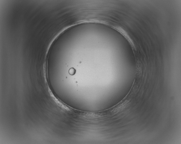 X0000073711100200608241436