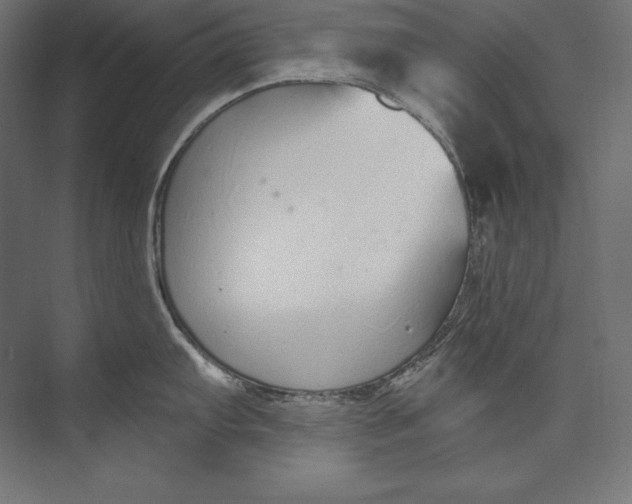 X0000073711103200608241436