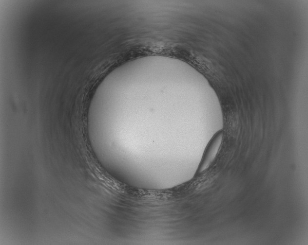 X0000073711105200608241436