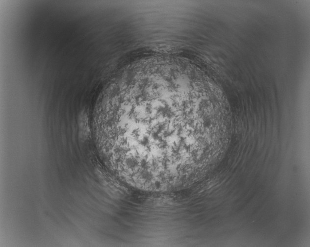 X0000073711106200608241436