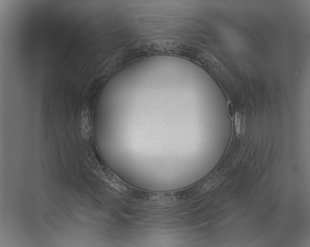 X0000073711107200608241436