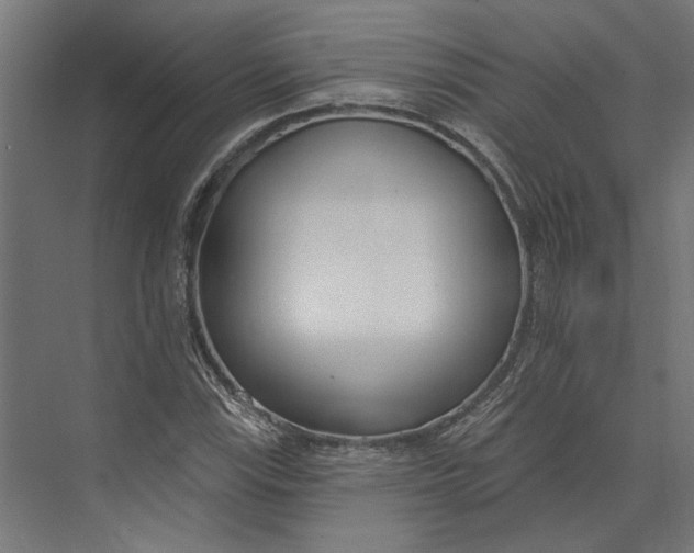 X0000073711115200608241436