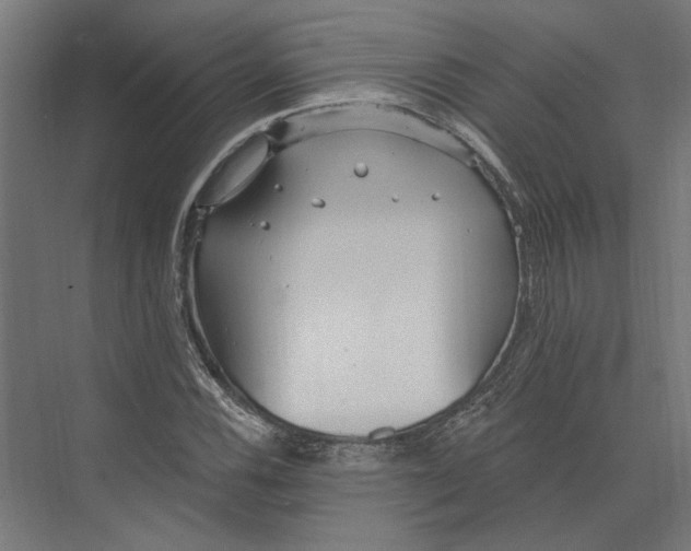 X0000073711116200608241436