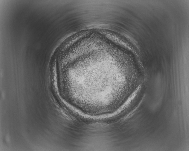 X0000073711117200608241436