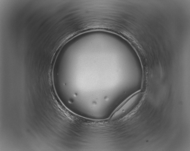 X0000073711121200608241436