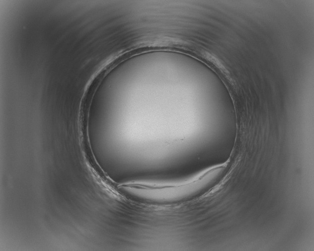 X0000073711122200608241436