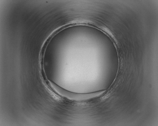 X0000073711124200608241436