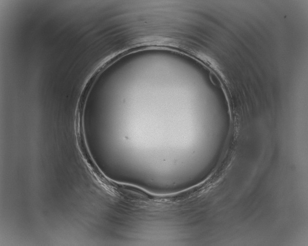 X0000073711125200608241436