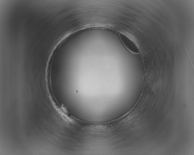 X0000073711135200608241436