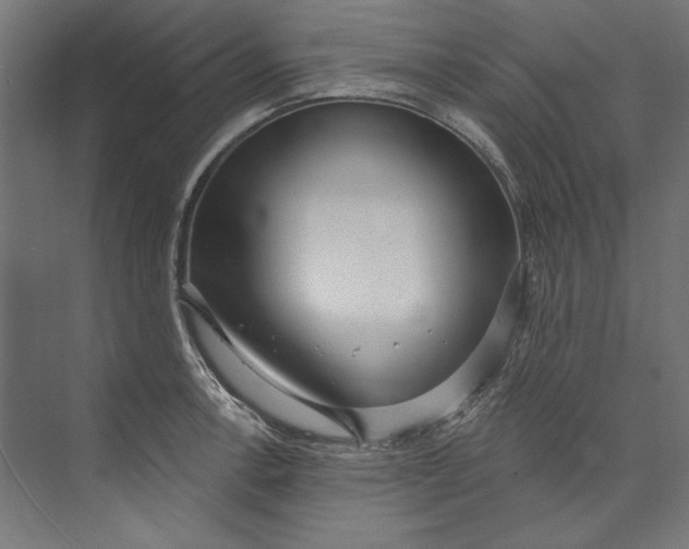 X0000073711138200608241436